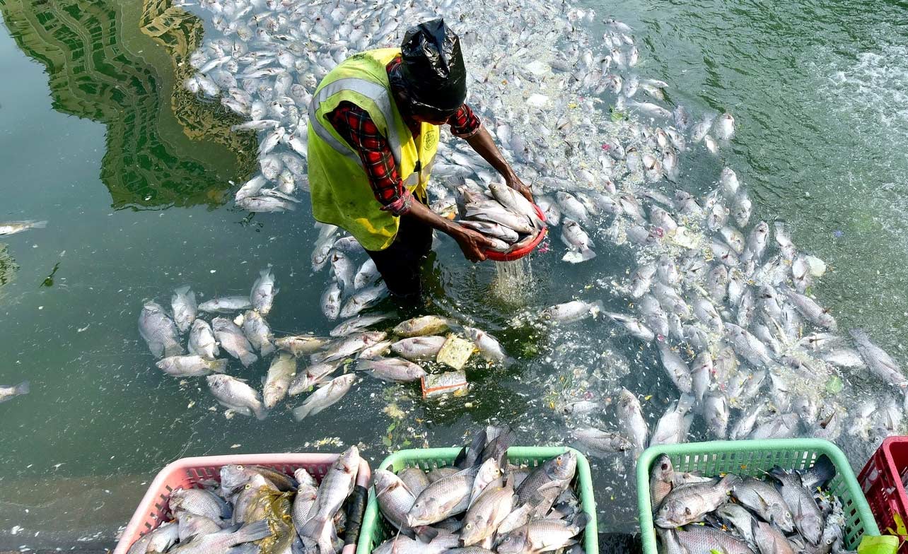 Millionaire Fisheries Farmer of India 