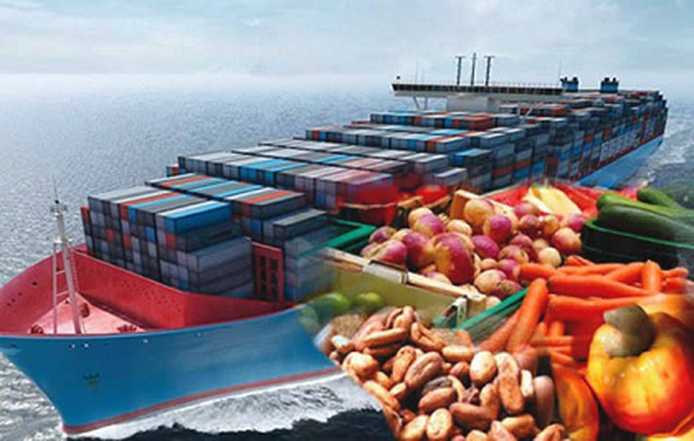 Richest Export Farmer of India