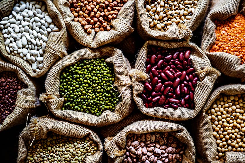 Millionaire Pulses Farmer of India