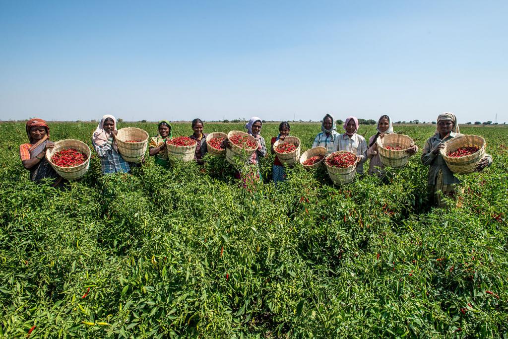 Millionaire Organic Farmer of India